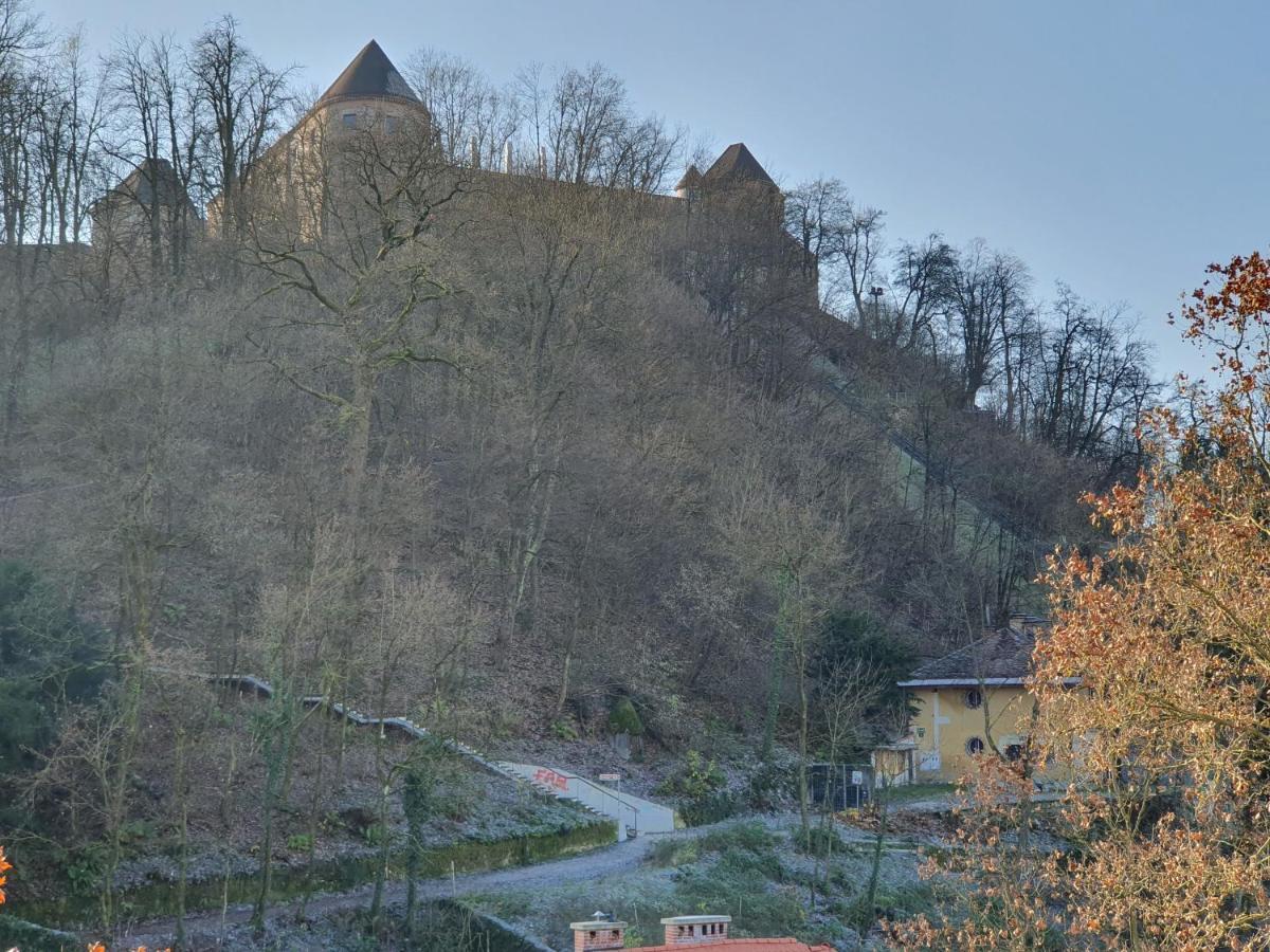 Bossa Nova Castle&Outstanding Home With Garage Ljubljana Luaran gambar
